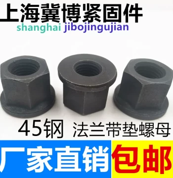 Flange Nut with Integrated Washer, Hex Flange Nut M8 M10 M12 M16 M18 M20 M24-M36 for Mold Clamping Plate