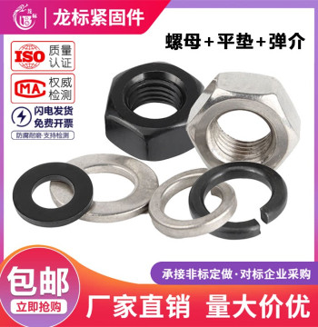 Grade 4/8 Galvanized Nuts with Flat and Spring Washers, 316/304 Stainless Steel Hex Nuts, Screw Caps, and Washers