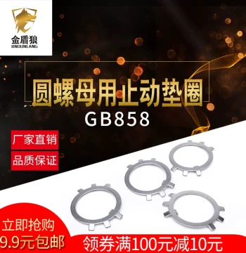 Lock Washer for 304 Stainless Steel Round Nuts, GB858 Locking Tab, Six-Claw Washer M180-M200