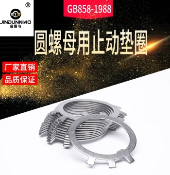 Round Nut Locking Washer, Anti-Loosening Shim, 304 Stainless Steel GB858, M10-M200