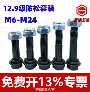 Grade 12.9 Extended Hex Bolt and Anti-Loosening Nut Kit with Washers, M10-M24