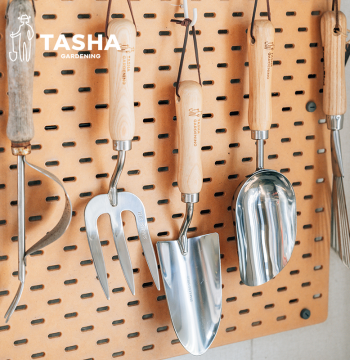 Tasha's Garden 3-Piece Gardening Tool Set - Mini Shovel, Rake, and Cultivator for Home Vegetable Planting and Soil Loosening