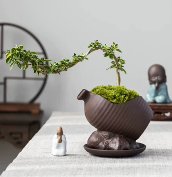 Purple Clay Planter for Serissa Old Stump with Notch Landscaping, Desktop Asparagus Fern Pot, Ceramic Green Plant Bonsai Pot with Tray