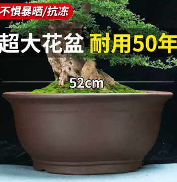 Extra-Large Zisha Flower Pot, Wide Mouth for Tree Planting, Clearance Special for Flowers, Pothos & Vegetables, Extra-Large Ceramic Bonsai Pot