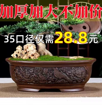 Extra-Large Rectangular Ceramic Planter, Square and Oval Trough Pots for Bonsai, Bulk Clearance Special Offer with Free Shipping