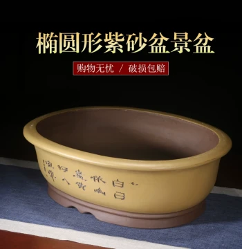 Zisha Flower Pot Oval Bonsai Pot Succulent Plant Arrangement Old Stump Forest Combination Asparagus Fern Ceramic Breathable Flower Pot