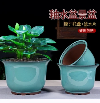Glazed Zisha Pot for Clivia, Phalaenopsis Orchid Indoor High-End Minimalist Green Plant Ceramic Bonsai Pot, Special Offer with Free Shipping