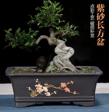 Yixing Zisha Trough Planter, Rectangular and Oval Large Pots with Dot Glaze for Asparagus Fern, Banyan, and Cliff-Style Bonsai, Home Garden Use