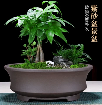 Extra-Large Round Purple Clay Flower Pot Ceramic Sculpted Planter for Old Stump Green Plants Flowers Bonsai Vegetable Growing Free Shipping