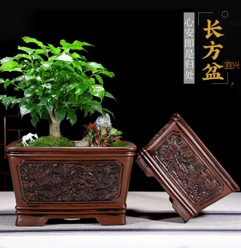 Yixing Bonsai Pot for Money Tree, Banyan, Guest-Greeting Pine, Happiness Tree, and Reishi Mushrooms - Extra Large Rectangular & Square Ceramic Pot