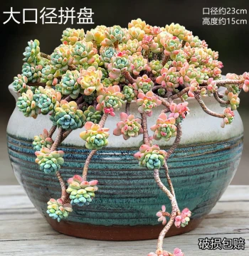 Extra-Large Ceramic Flower Pot for Succulent Clusters - Creative Wide-Mouth Purple Clay Bonsai Pot for Balcony and Courtyard Greenery