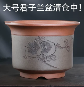 Yixing Premium Purple Clay Planter for Clivia and Orchids, Special Triangular Plum Blossom Ceramic Bonsai Pot with Large Mouth