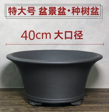 Extra-Large Purple Clay Bonsai Pot, Boxwood and Arhat Pine Planter, Old Stump Tree Planting Pot, Succulent Ceramic Flower Pot Clearance
