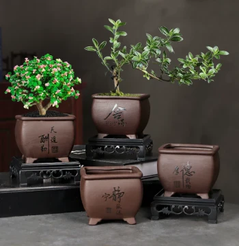Zisha Flower Pot for Small Banyan Old Stumps: Breathable Landscape Pot for Living Room, Orchids, Flowers, Green Plants, and Succulents, Includes Tray
