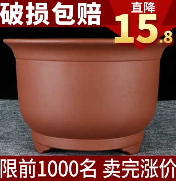 Extra-Large Zisha Flower Pot for Pothos and Orchids, Clearance Sale, Wide-Opening Ceramic Pot for Green Plants and Trees