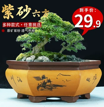Hexagonal Carved Zisha Flower Pot, Special Clearance Breathable Green Plant Ceramic Bonsai Pot with Large Diameter