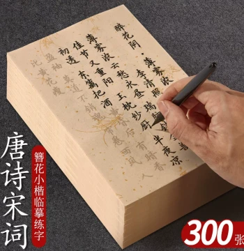 Yubaoge Small Regular Script Calligraphy Copybook for Beginners, Tracing Paper for Brush Practice, Mind-Calming Red-Tracing Sheets, Adult Soft-Brush Calligraphy Paper, Regular Script Work Paper, Xuan Paper