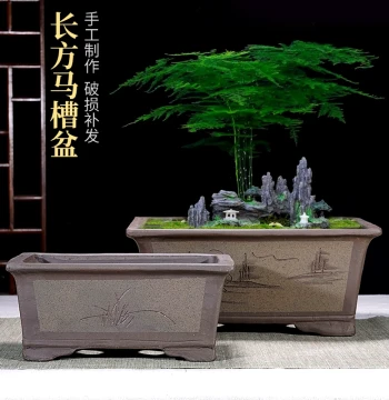 Zisha Rectangular Trough Bonsai Pot. Large Ceramic Pot for Indoor and Courtyard Use. Ideal for Golden Bullet Trees, Bougainvillea, and Old Stump Plants.