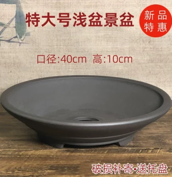 Yixing Purple Clay Rockery Pot for Boxwood Old Stumps, Bamboo, Acorus - Extra Large Coarse Pottery Shallow Pot for Succulents & Ferns