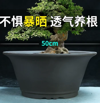 Extra-Large Round Zisha Flower Pot for Tree Planting; Clearance Sale for Courtyard and Indoor Use; Oversized Ceramic Bonsai Pot Over 50Cm
