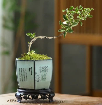 Small Ceramic Succulent Pot – Zisha Rough Pottery Lotus-Shaped Bonsai Planter for Acorus and Asparagus Fern, Includes Base