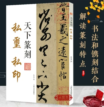 Tianxia Seal Carving: Private Seals and Inscriptions – Combining Seal Script Calligraphy and Carving Art, Includes Traditional Character Explanations; Introductory Guide to Seal Art with Authentic Qing Dynasty Master Seal Catalogs for Appreciation and Cop