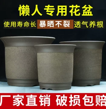 Yixing Zisha Orchid Pot, Extra Large Wide Mouth, Clearance Sale, Ceramic Pot for Pothos, Succulents, and Orchids, Specialized Bonsai Pot