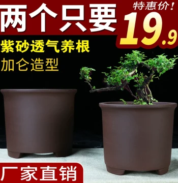 Yixing Zisha Orchid Pot: Round-Mouth Ceramic Pot for Clivia, Medium/Small Cylinder Bonsai for Indoor Balcony Use