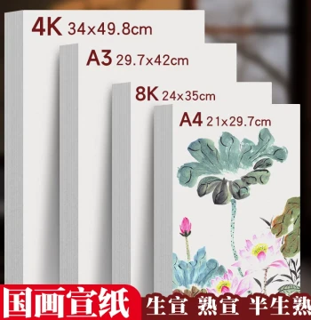 4K Chinese Painting Xuan Paper for Calligraphy Practice, 8K Raw Xuan, A4 Sized Xuan, A3 Semi-Absorbent, Thickened White Paper for Artworks, Suitable for Kindergarten to Middle School Students