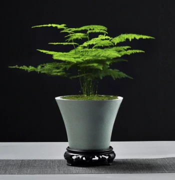 Asparagus Fern Zisha Bonsai Pot Ceramic Small Banyan Acorus Butterfly Phalaenopsis Orchid Small-Leaf Red Sandalwood Potted Plant Succulent Flower Pot