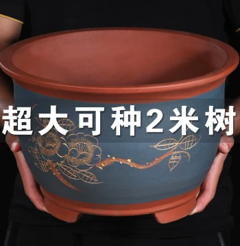 Large Purple Clay Planter for Money Tree Bonsai, Tree Planting, Balcony Vegetable Growing, Orchid Ceramic Pot, Clearance Sale