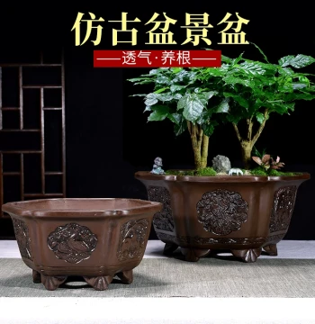 Yixing Zisha Hexagonal Planter, Antique-Style Ceramic Pot with Large Opening for Indoor Orchids, Flowers, and Bonsai