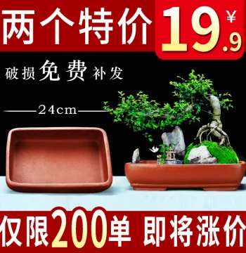 Yixing Purple Clay Planter: Extra-Large Hole-Free Shallow Base Pot - Clearance Sale for Banyan Old Stump and Extra-Large Rectangular Bonsai