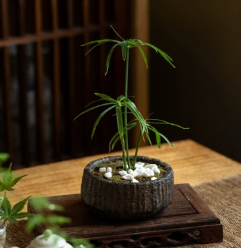 Small Flower Pot Retro Zen Chinese Style Non-Ceramic Clay