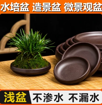 Zisha Tray Water Catcher Pad Base Stand Ceramic Bottom Plate Succulent Plants Lucky Brazilian Wood Flower Pot Tray