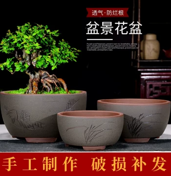 Zisha Flower Pot for Succulents, Asparagus Fern, Golden Bullet Ficus, Banyan Stumps, and Orchids - Minimalist Indoor Desktop and Balcony Ceramic Bonsai Container