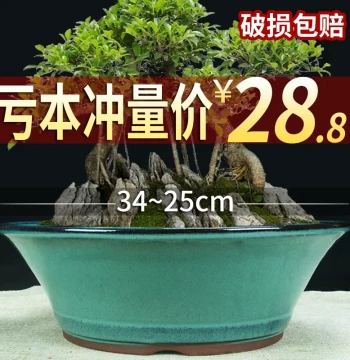 Yixing Purple Clay Flower Pot with Free Shipping, Green Plants and Succulents Special Clearance, Premium Glazed Water Pot, Tea Table and Desk Large Bonsai Pot