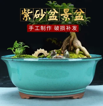 Extra Large Glazed Zisha Flower Pot Money Tree Diospyros Kaki Succulent Phalaenopsis Special Clearance Glazed Ceramic Bonsai Pot
