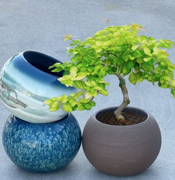 Balcony Home Ceramic Flower Pot, Clearance Green Plant Zisha Bonsai Succulent Planter, Spherical Eggshell Large Clay Pot with Free Shipping