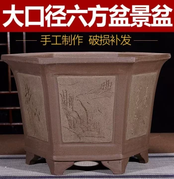 Zisha Flower Pot for Bougainvillea and Diospyros Old Stumps - Hexagonal Bonsai Pot for Living Room, Balcony, and Courtyard Greenery
