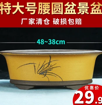Extra Large Oval Zisha Flower Pot Clearance Sale - Ceramic Bonsai Pot for Welcome Pine, Happiness Tree, Lingzhi, Old Root Banyan