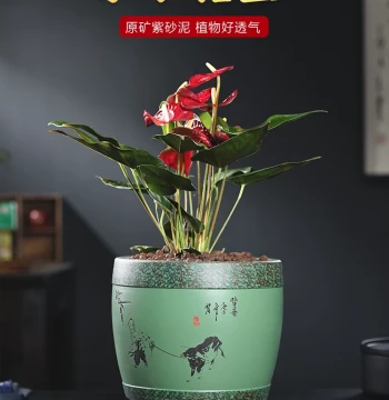 Purple Clay Flower Pot Antique Style for Bonsai Orchid