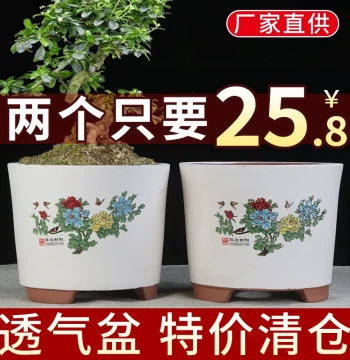 Yixing Purple Clay Planter Clearance Sale, Succulent Spider Plant Minimalist Bonsai Pot, Breathable Terracotta Pothos Green Plant Ceramic Pot