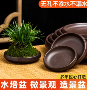 Brazilian Wood Lucky Wood Plant Special Ceramic Tray, Creative Purple Clay Water Catcher Base for Succulent Pots