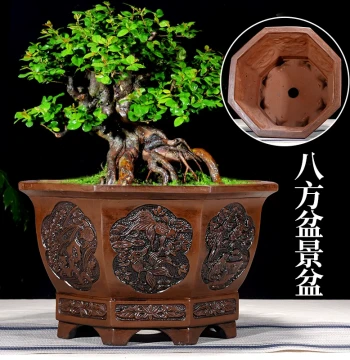 Yixing Antique Relief Ceramic Flower Pot, Octagonal Extra-Large Indoor Bonsai Pot, Direct from Manufacturer