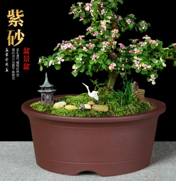 Extra-Large Diameter Zisha Flower Pot Clearance Sale, Simple Ceramic Bonsai Container with Wide Round Rim for Pothos, Vegetables, and Trees