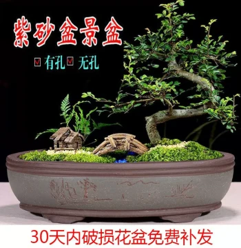 Yixing Extra-large Oval Purple Clay Flower Pot, Household Banyan Bonsai Pot, Hole-free Narcissus Rockery Pot with Tray, Free Shipping