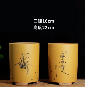 Large Zisha Flower Pot for Orchids, Ceramic Pot for Clivia, Minimalist Pothos and Green Plant Bonsai Pot