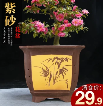 Large Yixing Zisha Orchid Pot, Square Planter for Clivia, Extra-Large Ceramic Bonsai Tree Pot