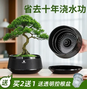 Meishi Bonsai Special Pots for Banyan, Plum Blossom, Asparagus Fern, Caudex, and Agave; Breathable Root-Control Shallow Plastic Pots Imitating Purple Clay
